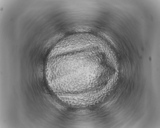 X0000070230402200606161738