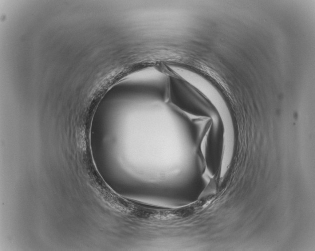 X0000070230403200606161738
