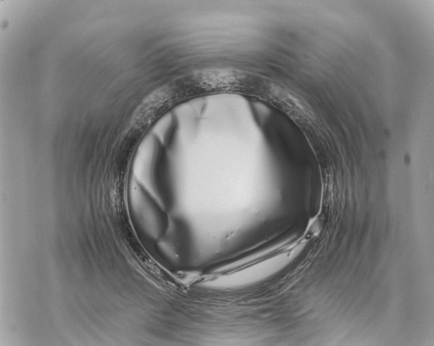 X0000070230408200606161738