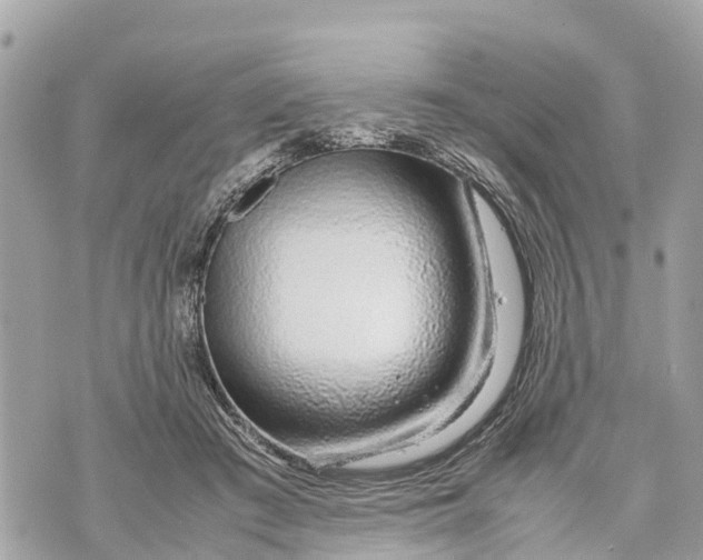 X0000070230409200606161738