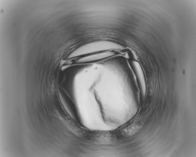 X0000070230410200606161738