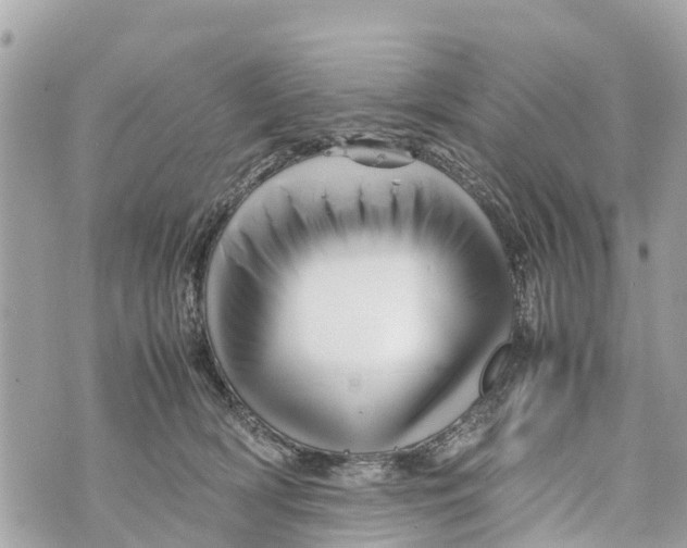 X0000070230418200606161738