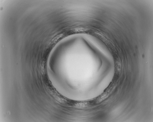 X0000070230422200606161738