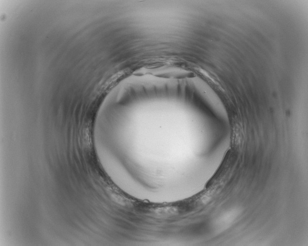 X0000070230426200606161737