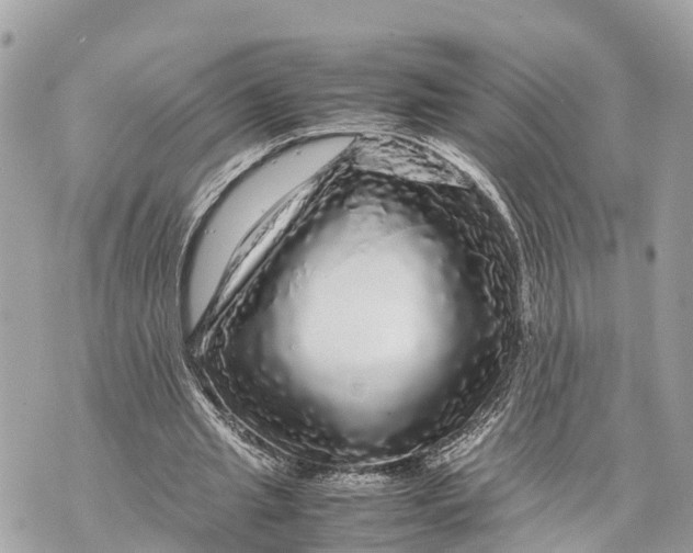 X0000070230437200606161737