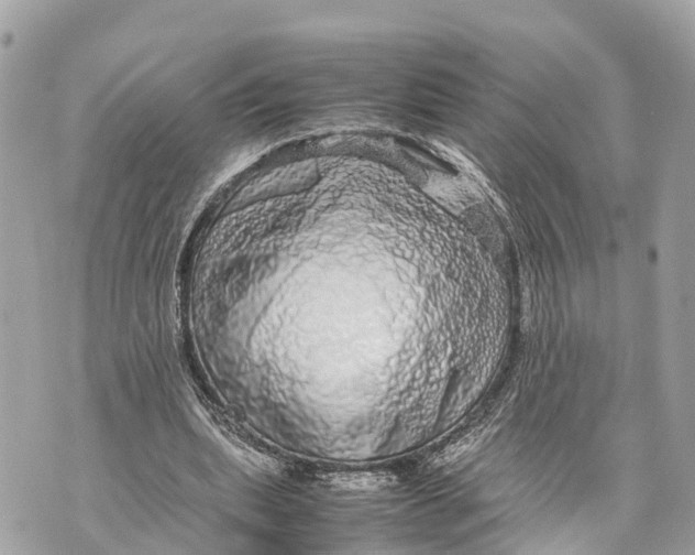 X0000070230439200606161737
