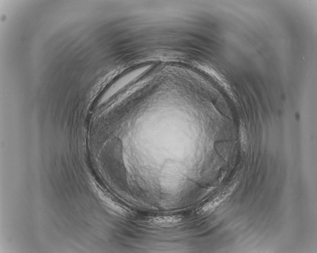 X0000070230445200606161737