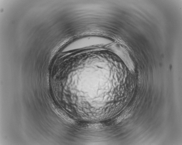 X0000070230446200606161737