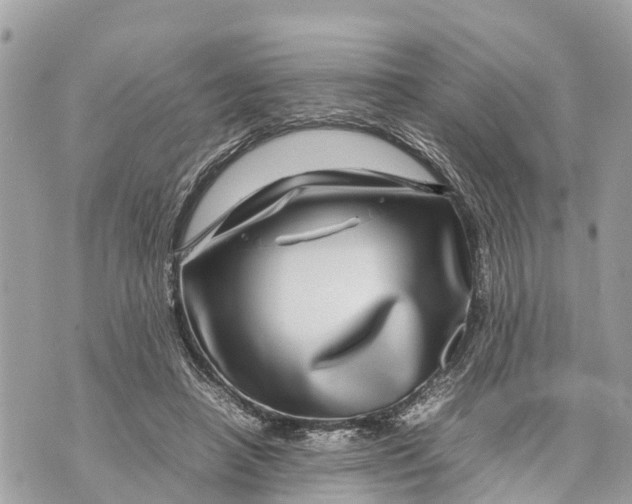 X0000070230450200606161737
