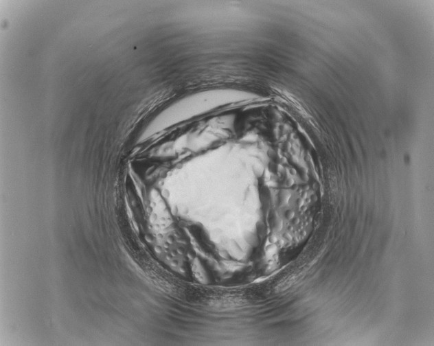 X0000070230451200606161737