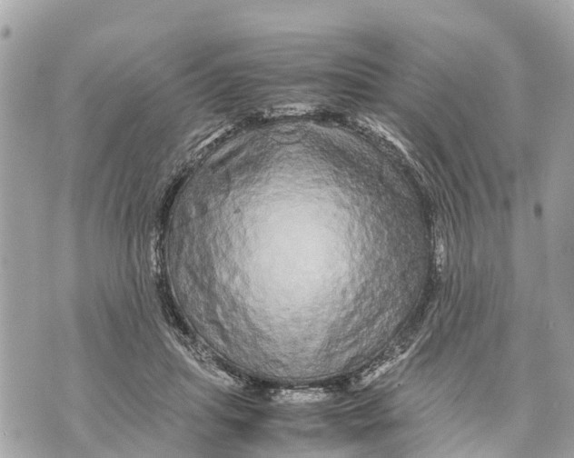 X0000070230455200606161737