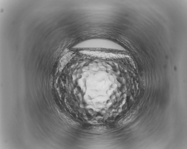 X0000070230458200606161737