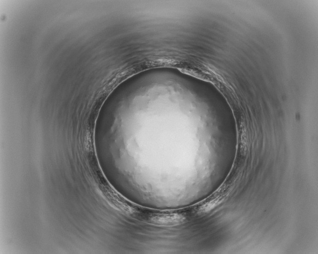 X0000070230459200606161737