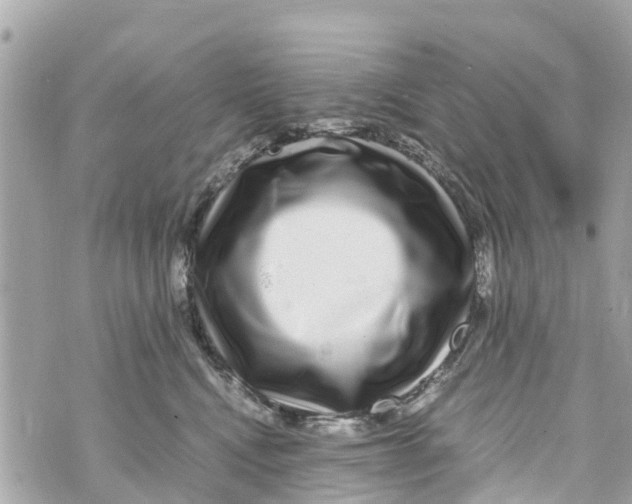 X0000070230472200606161737