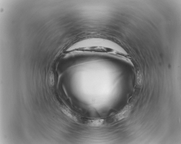 X0000070230474200606161737