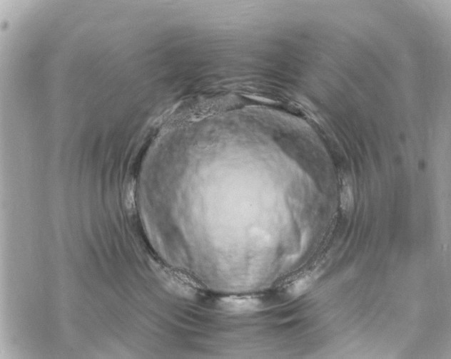 X0000070230477200606161737