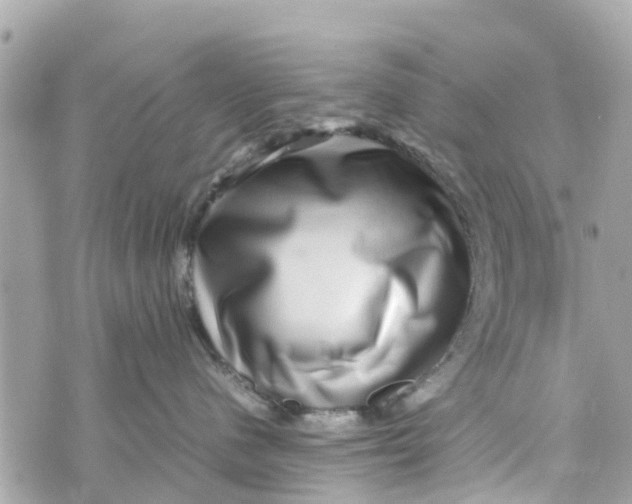 X0000070230480200606161737