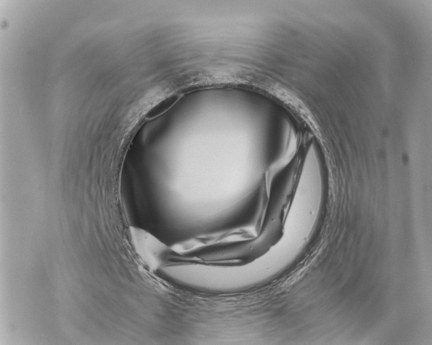 X0000070230481200606161737