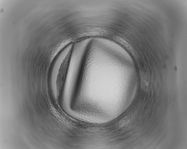 X0000070230482200606161737