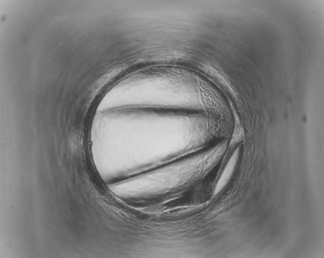 X0000070230483200606161737