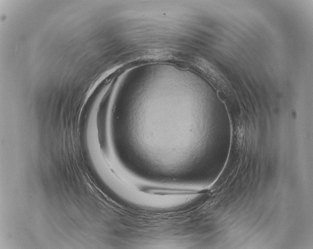 X0000070230484200606161737