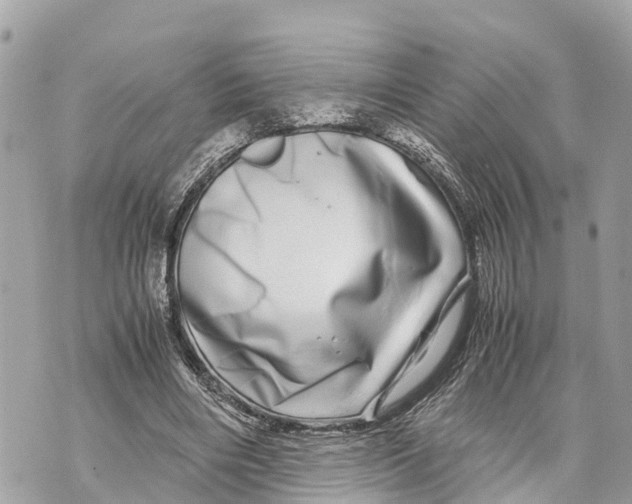 X0000070230490200606161736