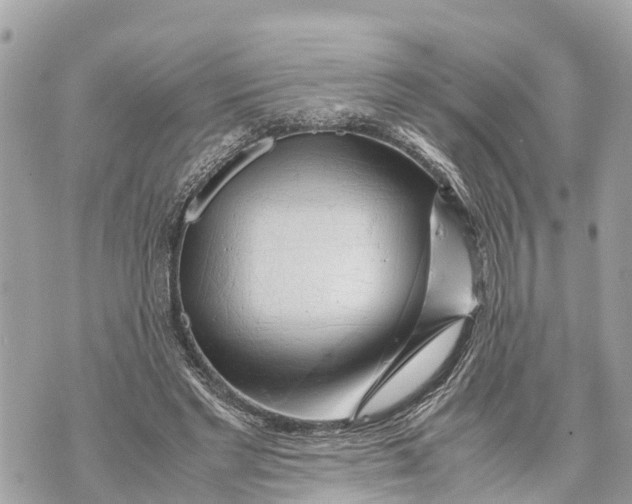 X0000070230493200606161736
