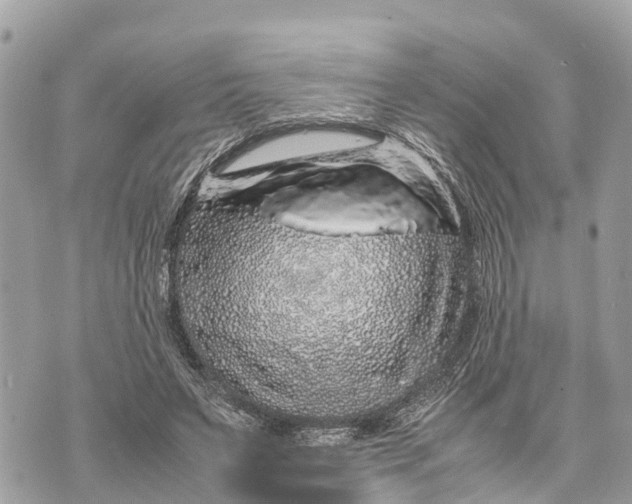 X0000070230495200606161736