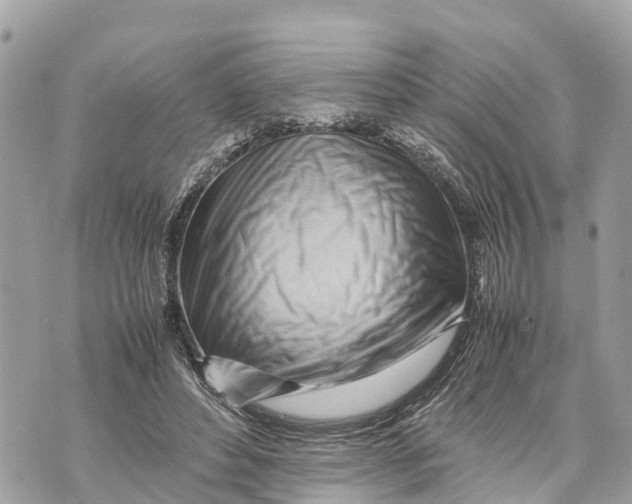 X0000070230496200606161736