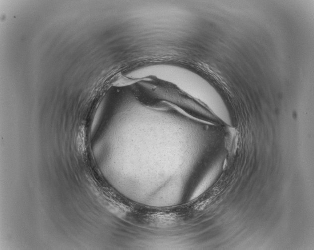 X0000070230498200606161736