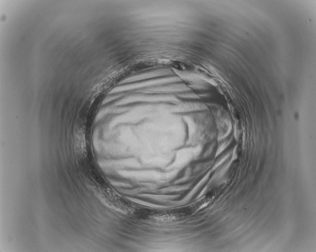 X0000070230500200606161736