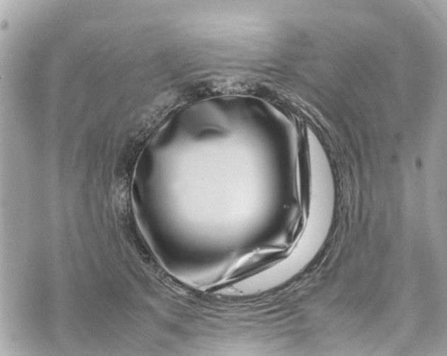 X0000070230513200606161736