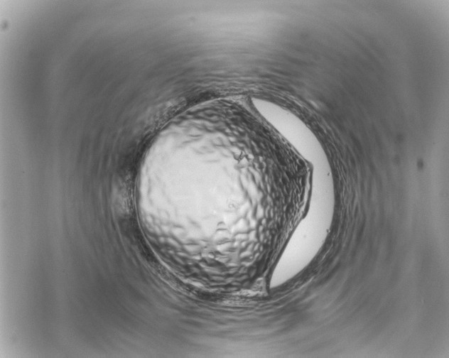 X0000070230515200606161736