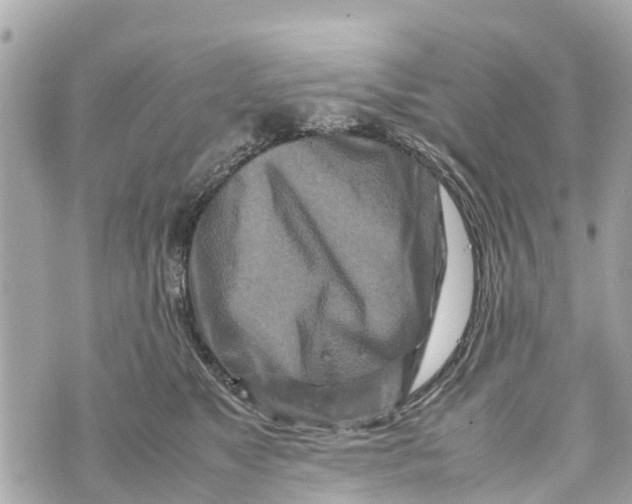 X0000070230517200606161736