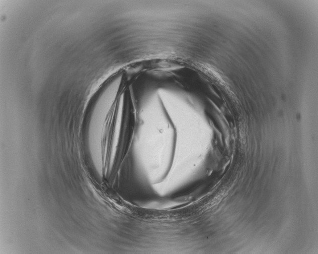 X0000070230532200606161735