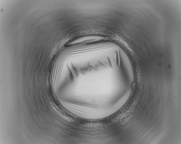 X0000070230537200606161735