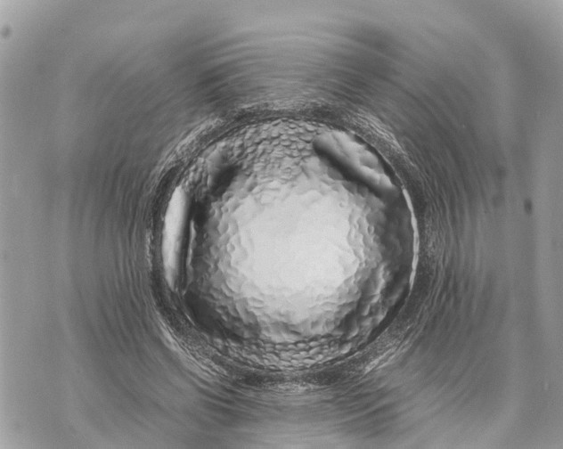 X0000070230542200606161735