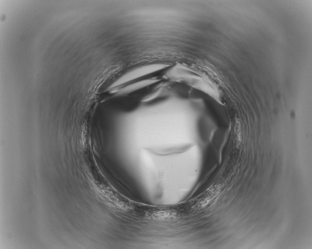 X0000070230546200606161735