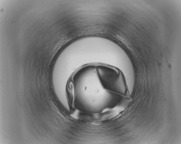 X0000070230548200606161735