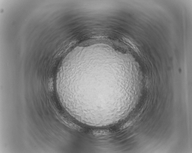 X0000070230549200606161735