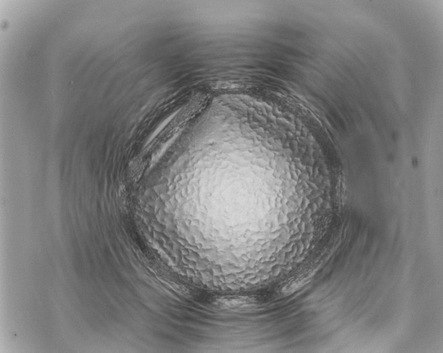 X0000070230557200606161735