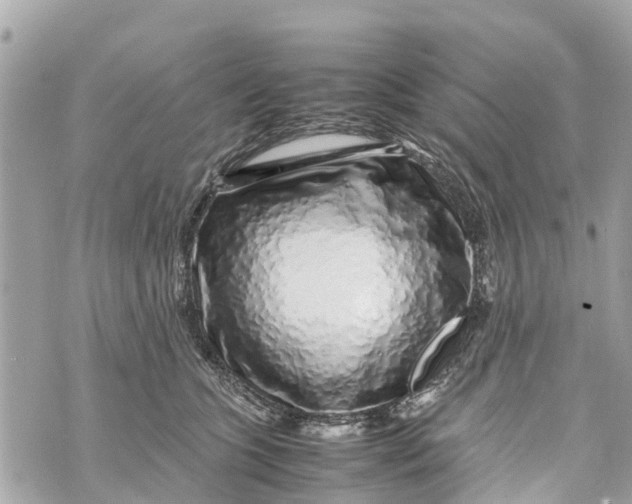 X0000070230563200606161735
