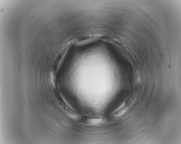 X0000070230575200606161736