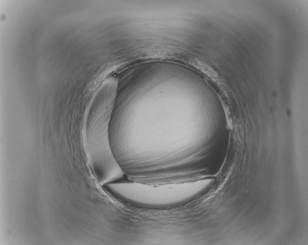X0000070230577200606161735