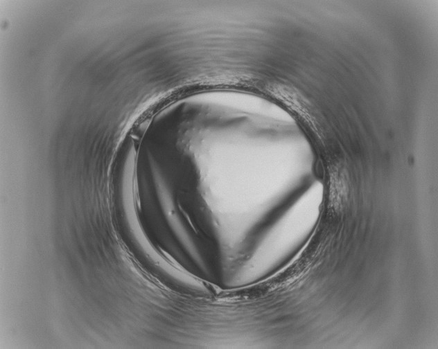 X0000070230584200606161735