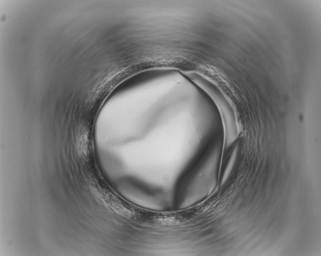 X0000070230596200606161735