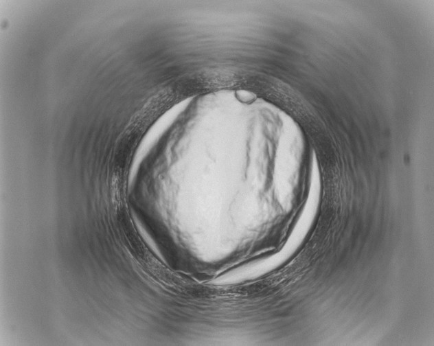X0000070230598200606161735