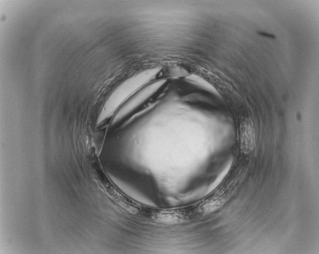 X0000070230608200606161734