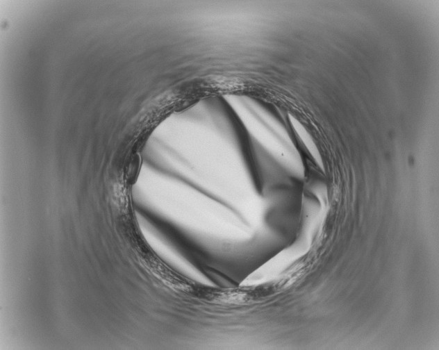 X0000070230609200606161734