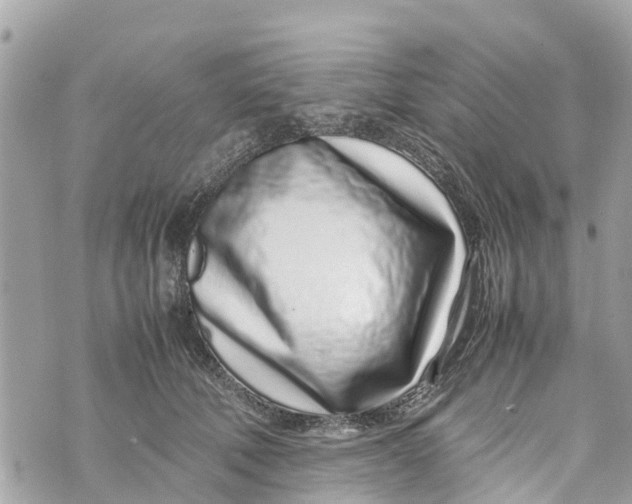 X0000070230610200606161734
